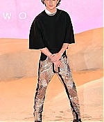 TCF-012.jpg