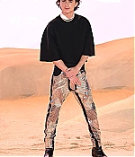 TCF-036.jpg
