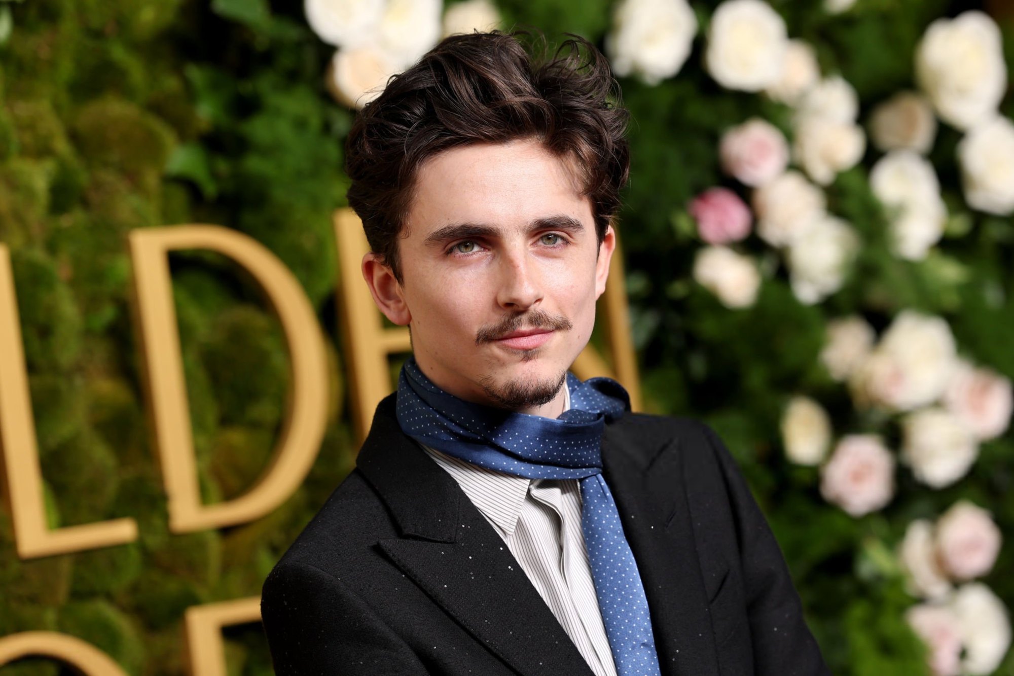 TCF-113.jpg TCF-113.jpg