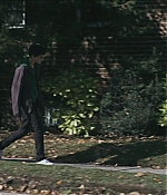 TCF-WF031.jpg