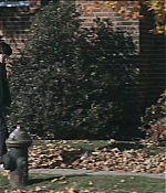 TCF-WF033.jpg