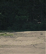 TCF-TAD055.jpg