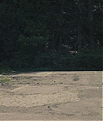 TCF-TAD056.jpg