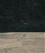 TCF-TAD057.jpg