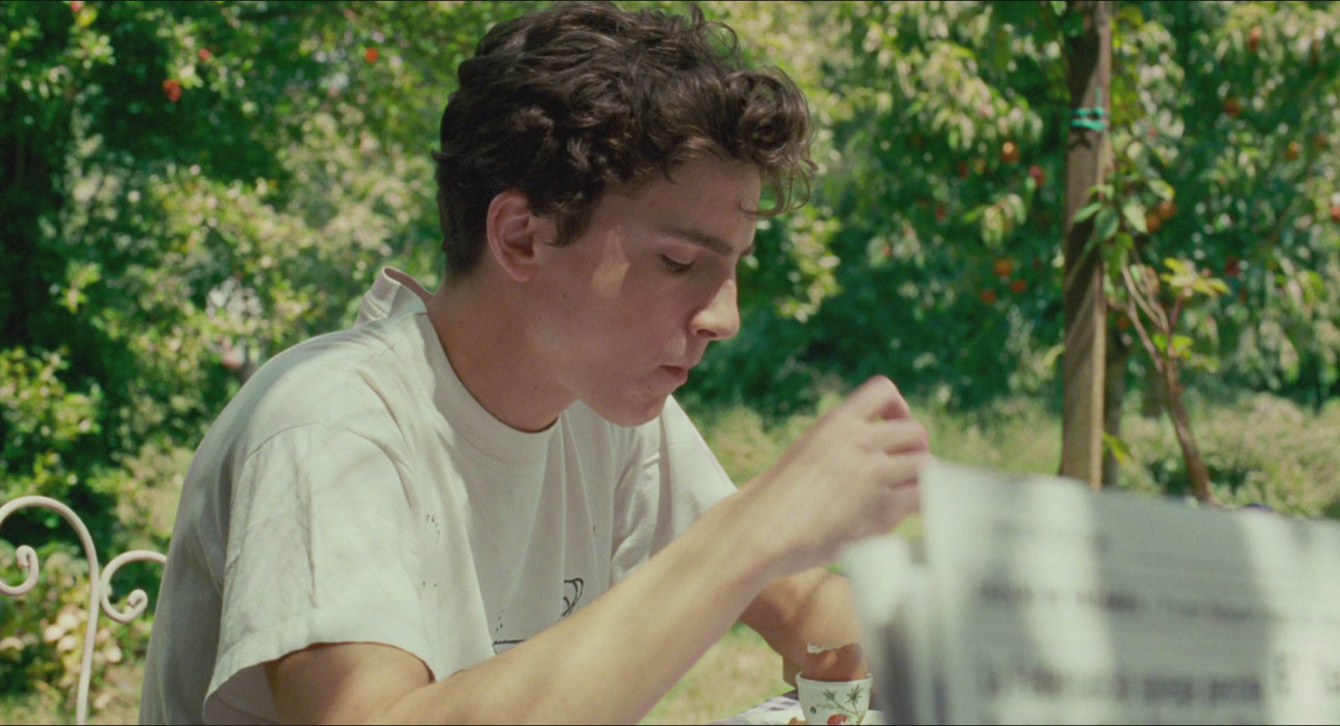 TCF-CMBYN0109.jpg