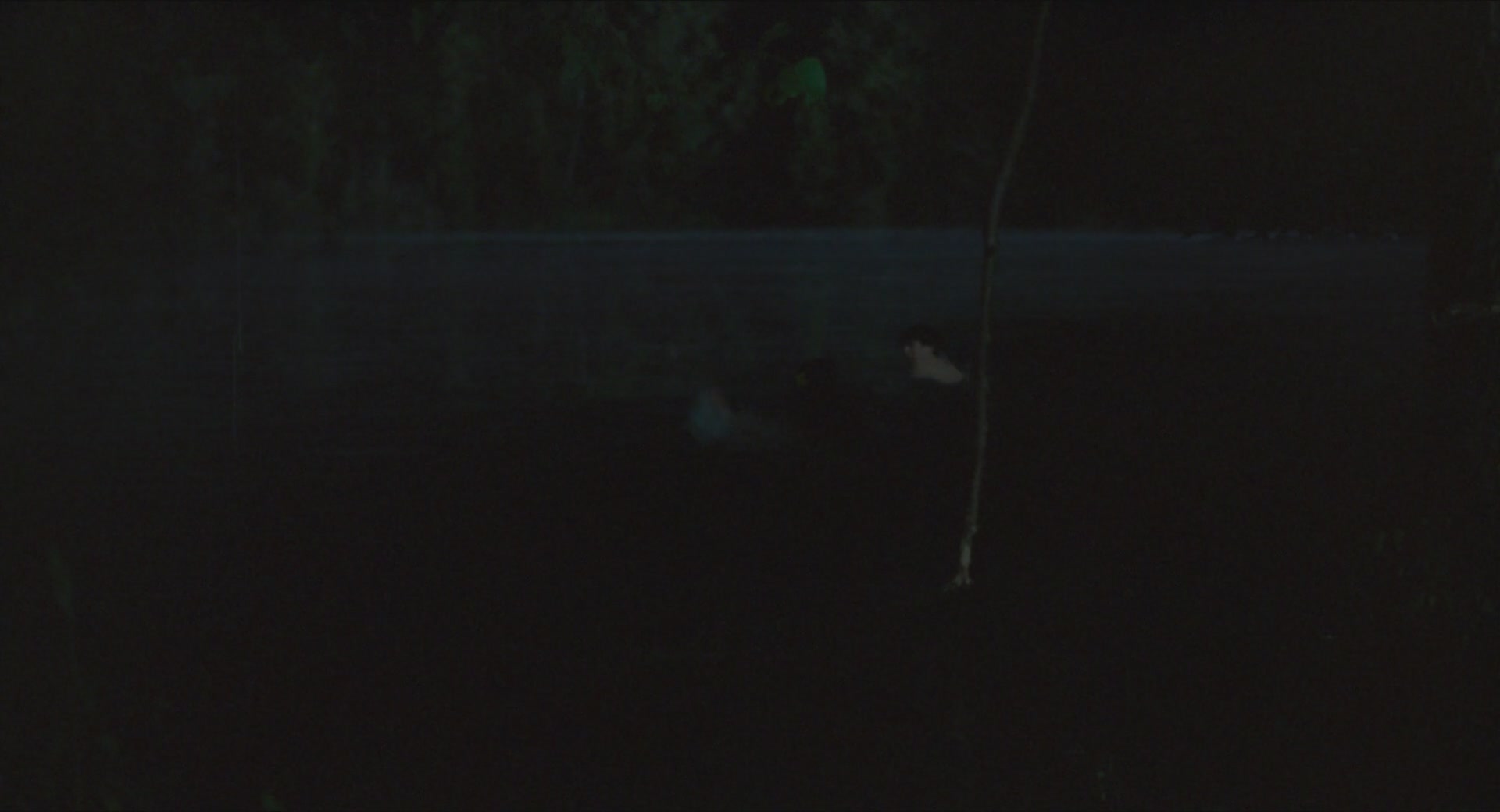 TCF-CMBYN0578.jpg TCF-CMBYN0578.jpg