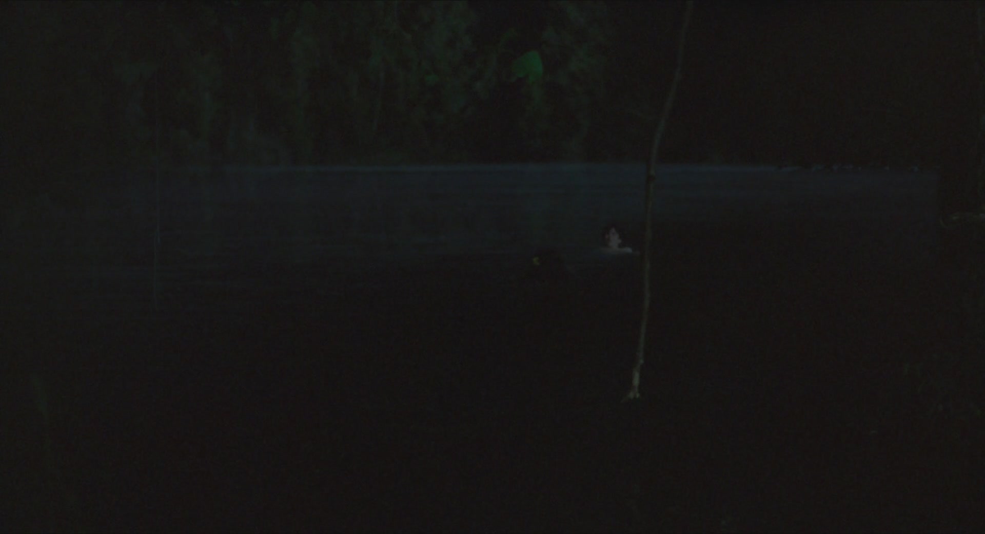 TCF-CMBYN0579.jpg TCF-CMBYN0579.jpg