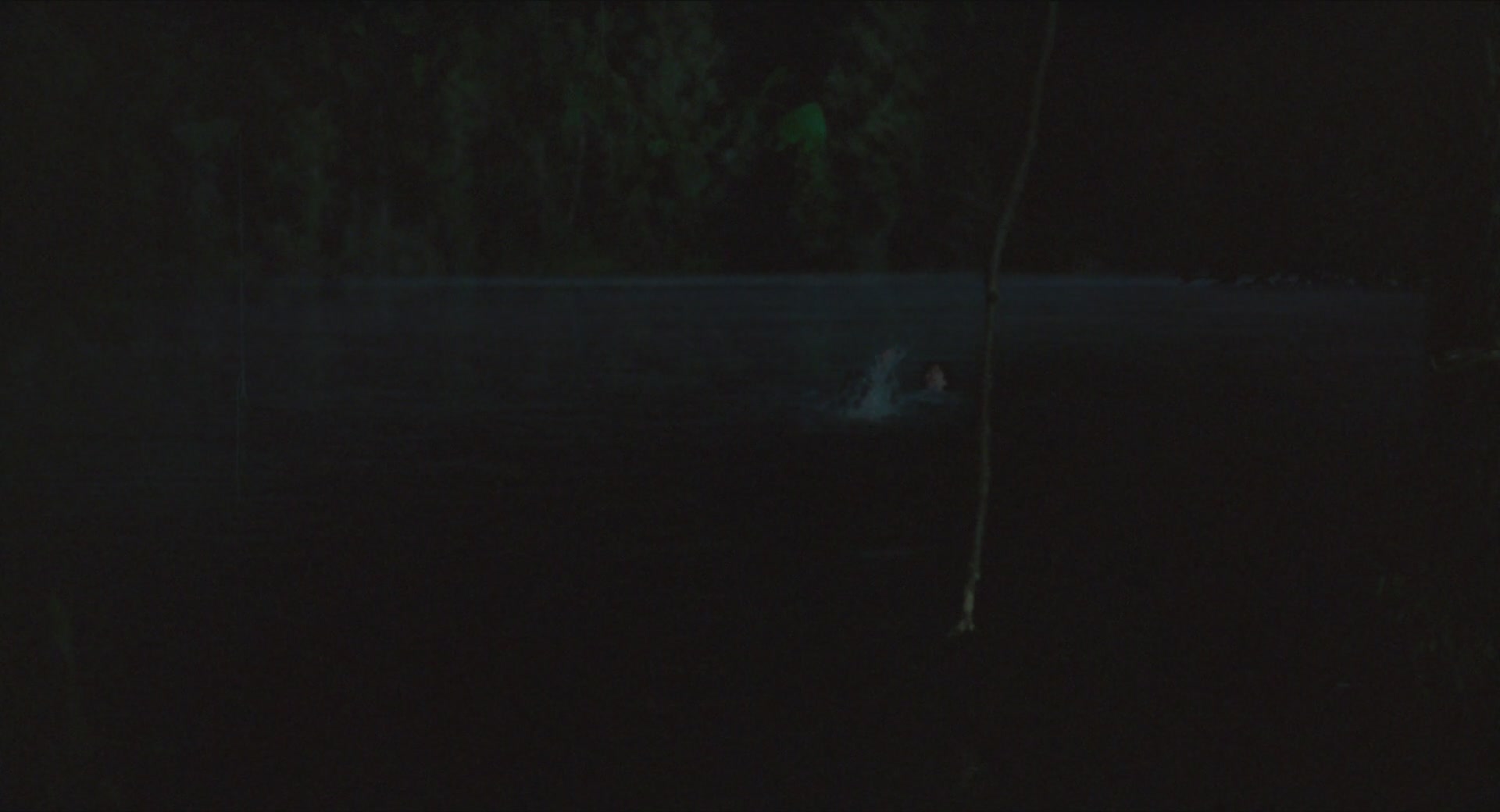TCF-CMBYN0580.jpg TCF-CMBYN0580.jpg