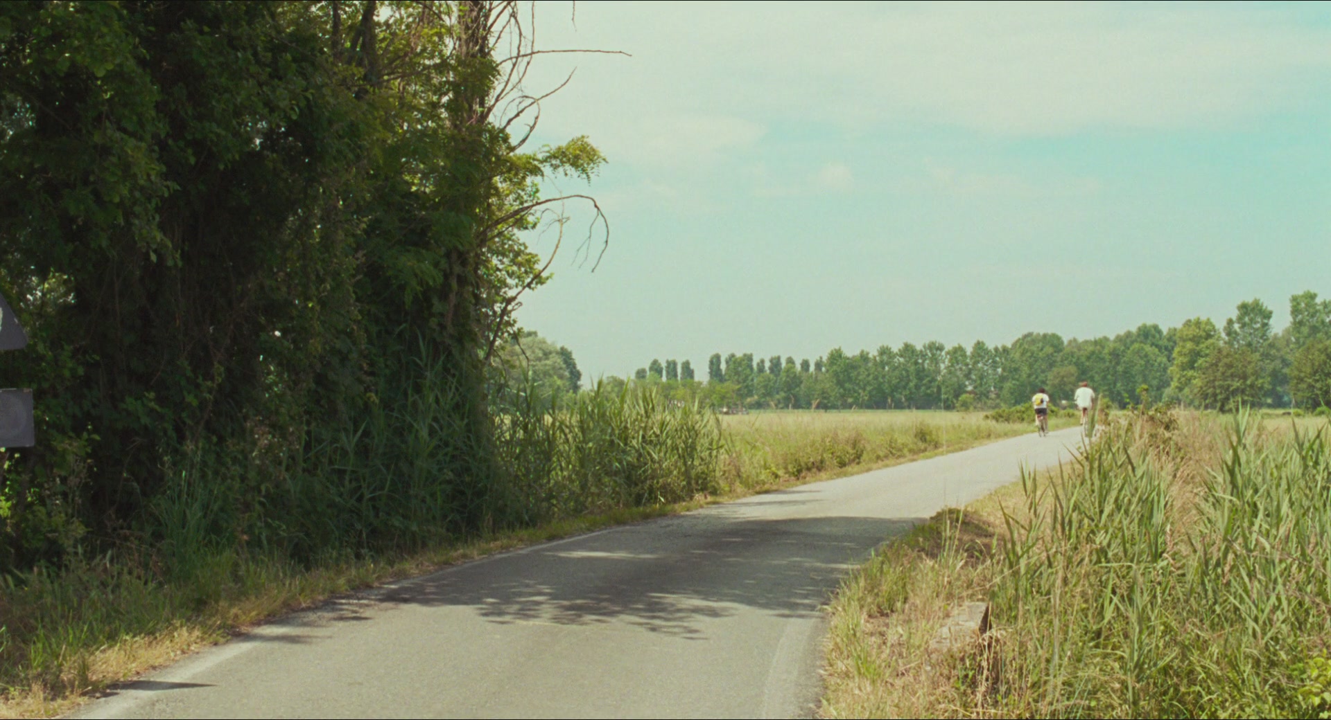 TCF-CMBYN0905.jpg TCF-CMBYN0905.jpg