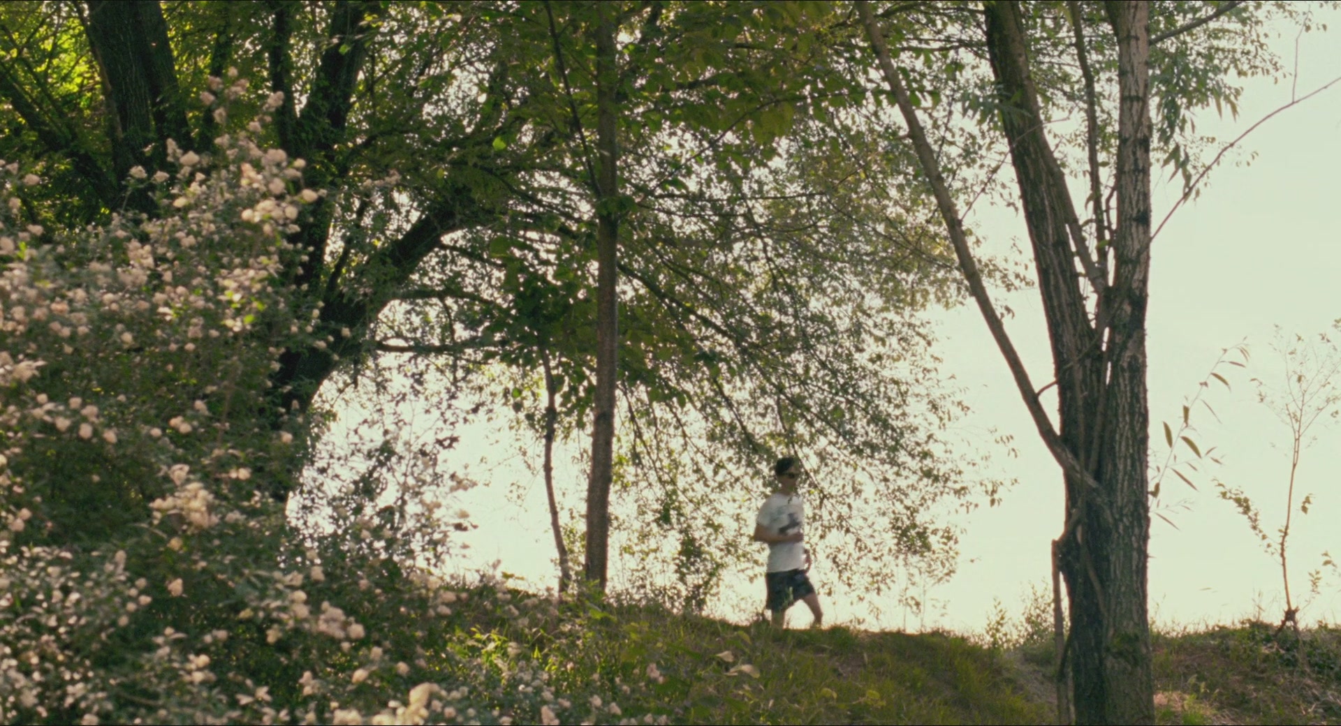 TCF-CMBYN0934.jpg