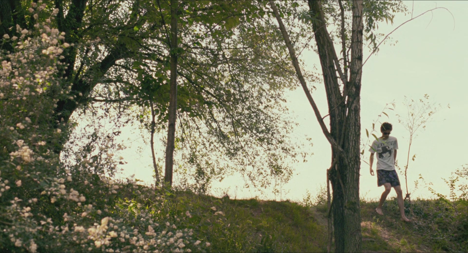 TCF-CMBYN0935.jpg TCF-CMBYN0935.jpg