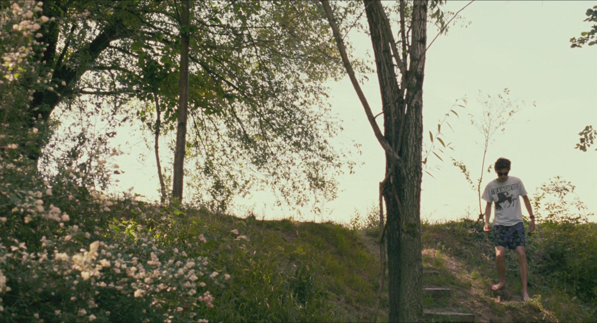 TCF-CMBYN0936.jpg TCF-CMBYN0936.jpg
