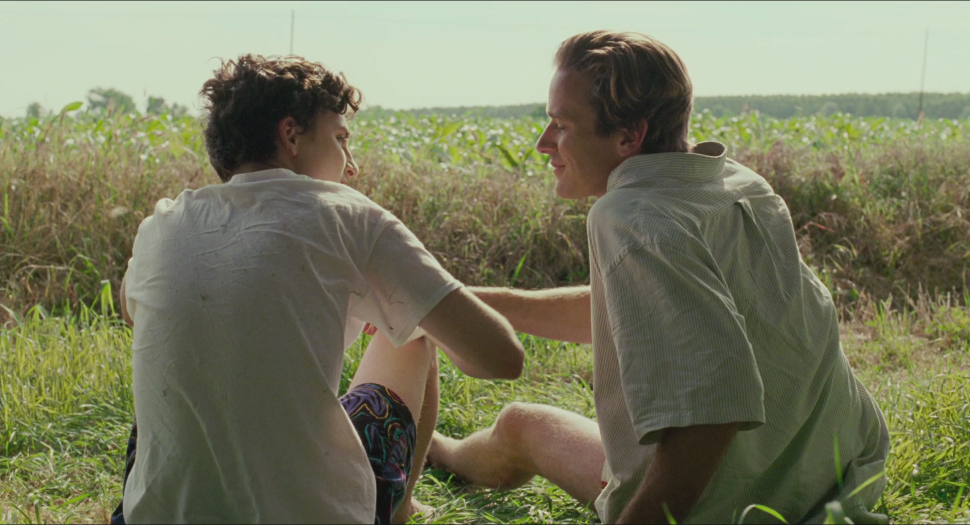 TCF-CMBYN1001.jpg TCF-CMBYN1001.jpg