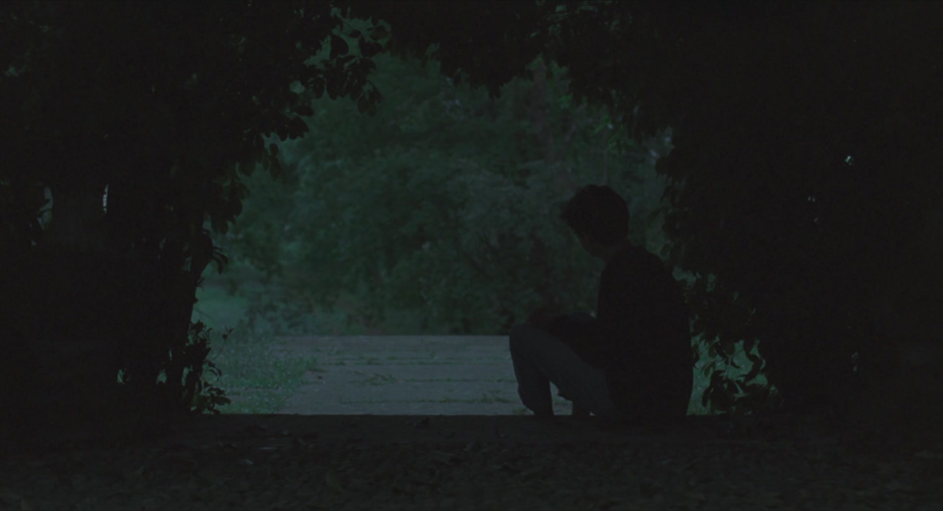 TCF-CMBYN1102.jpg TCF-CMBYN1102.jpg