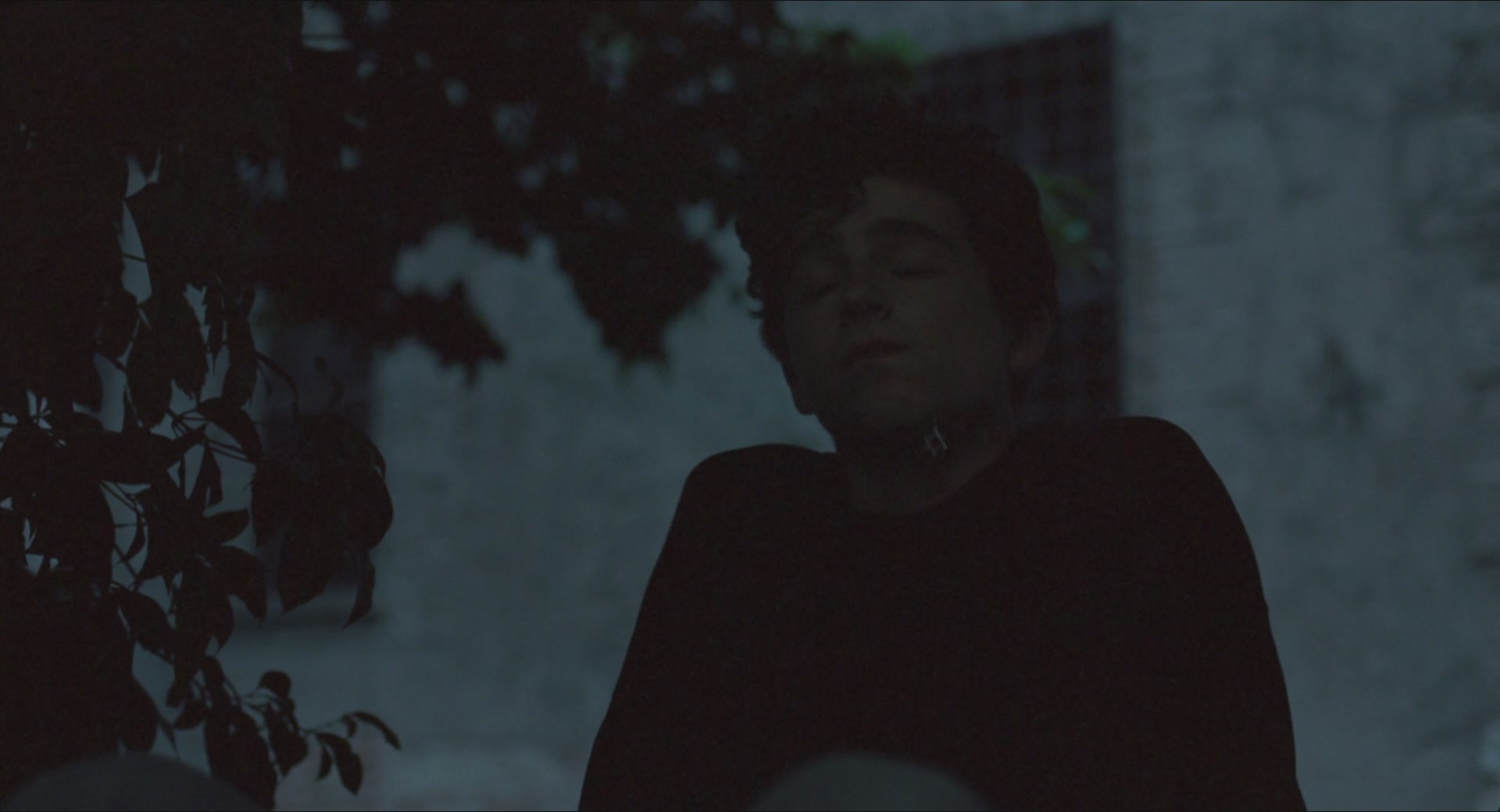 TCF-CMBYN1110.jpg