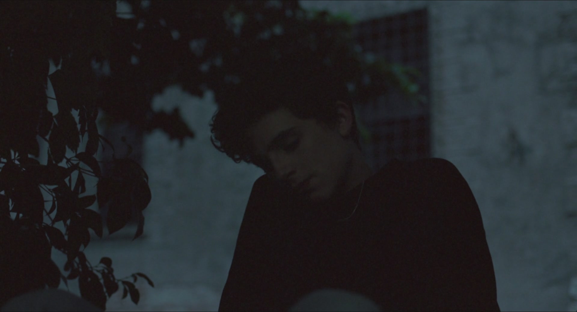 TCF-CMBYN1111.jpg