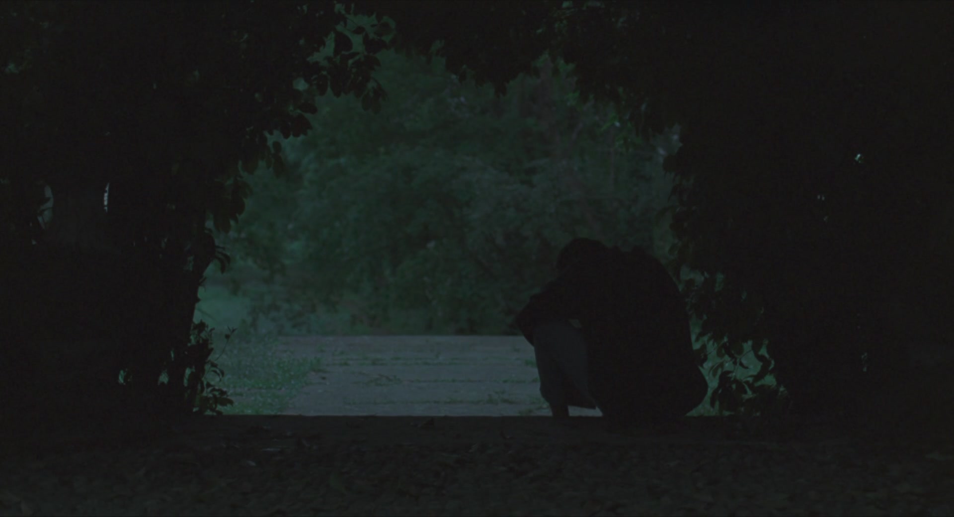 TCF-CMBYN1116.jpg