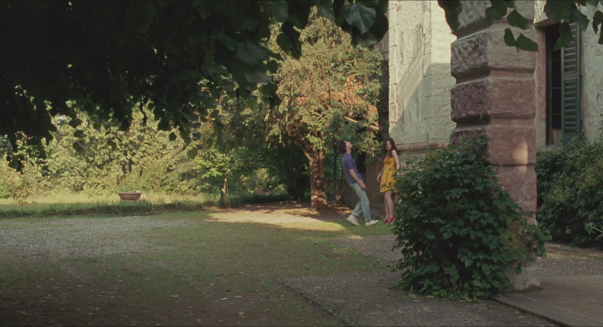 TCF-CMBYN1296.jpg