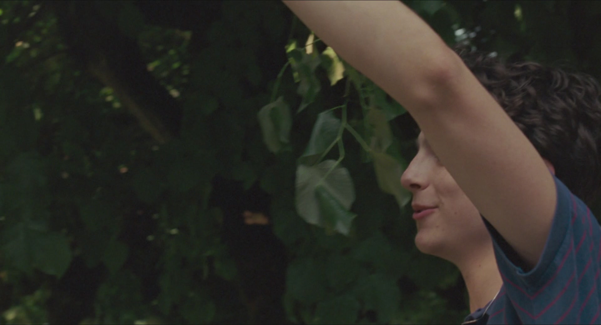 TCF-CMBYN1317.jpg