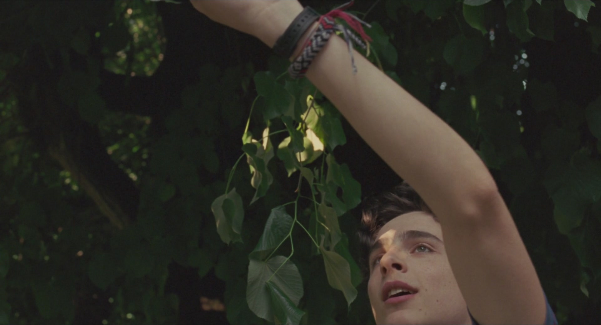 TCF-CMBYN1319.jpg