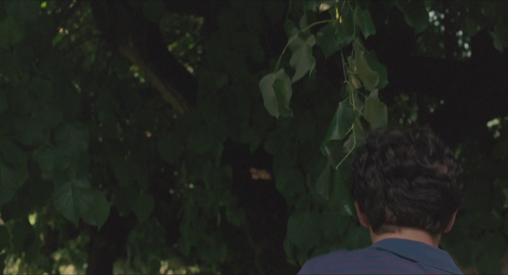 TCF-CMBYN1320.jpg