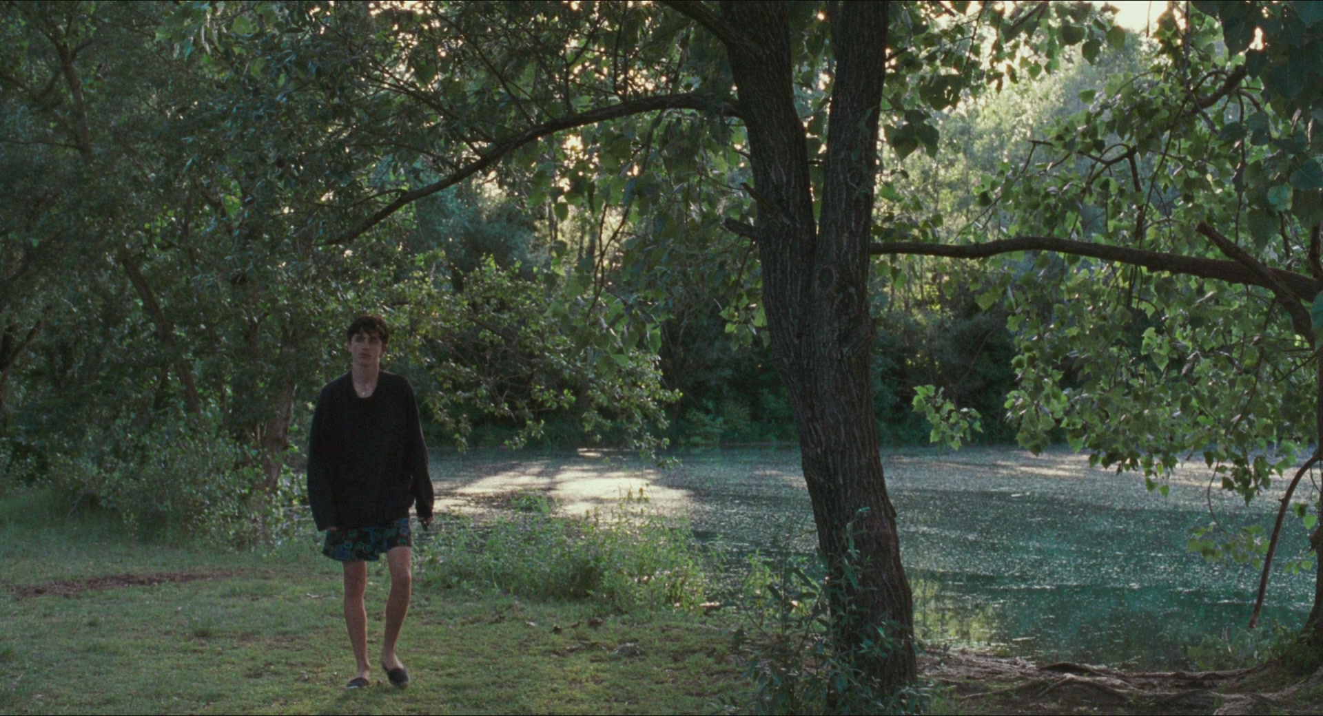 TCF-CMBYN1482.jpg TCF-CMBYN1482.jpg