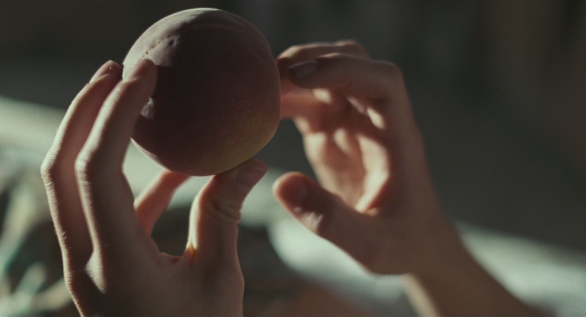 TCF-CMBYN1611.jpg