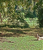 TCF-CMBYN0396.jpg