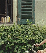 TCF-CMBYN0605.jpg
