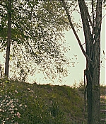 TCF-CMBYN0936.jpg