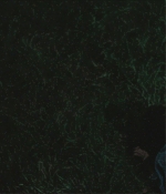 TCF-CMBYN1193.jpg