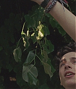 TCF-CMBYN1318.jpg