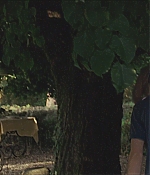 TCF-CMBYN1321.jpg