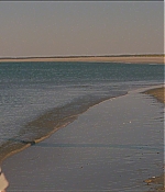TCF-LW467.jpg