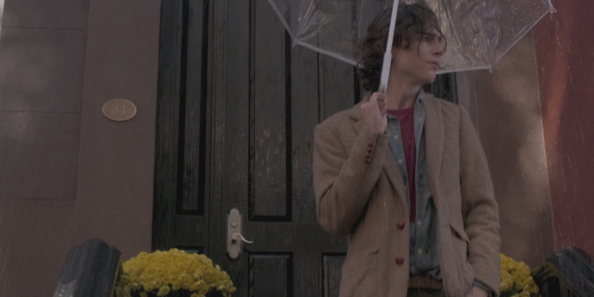 TCF-RD366.jpg