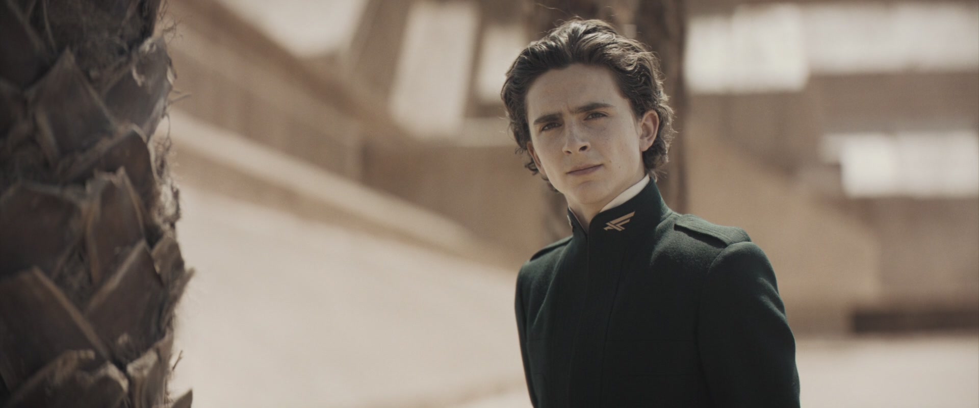 TCF-D234.jpg