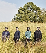 TCF-002.jpg