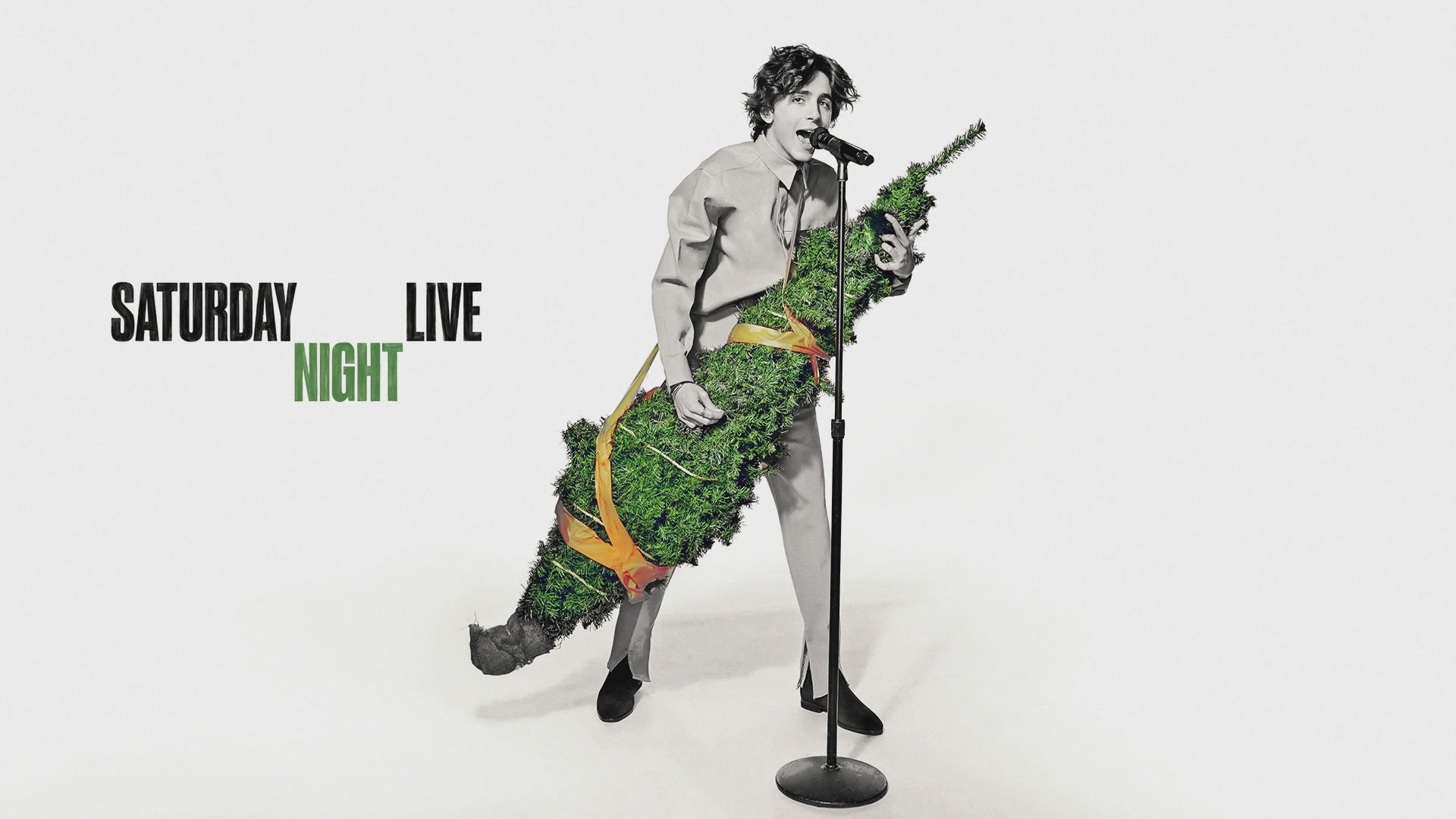 TCF-SNL467.jpg TCF-SNL467.jpg